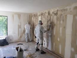 Best Mold Odor Removal Services  in North Fond Du Lac, WI